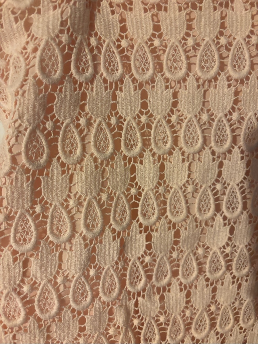 Ann Taylor Light Pink Lace Pencil Skirt - Picture 2 of 4